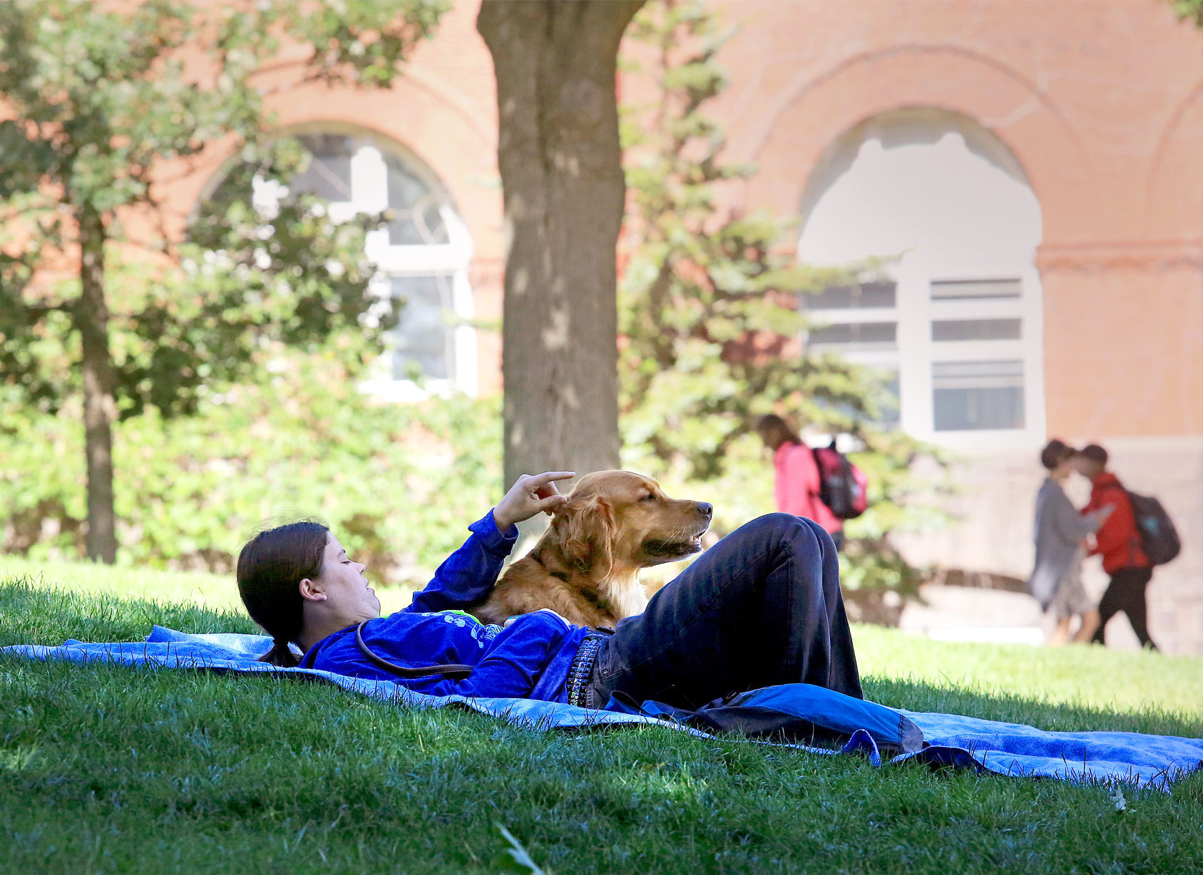 Basking on Bascom